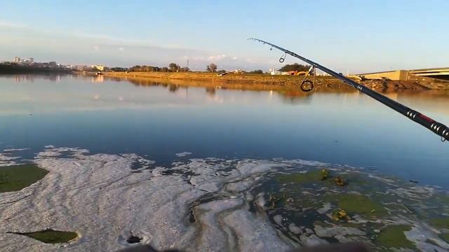 РЫБАЛКА В АСТАНЕ 2020. АСТАНА СУДАК. РЫБАЛКА В КАЗАХСТАНЕ POWER SPORT ASTANA. смотреть онлайн