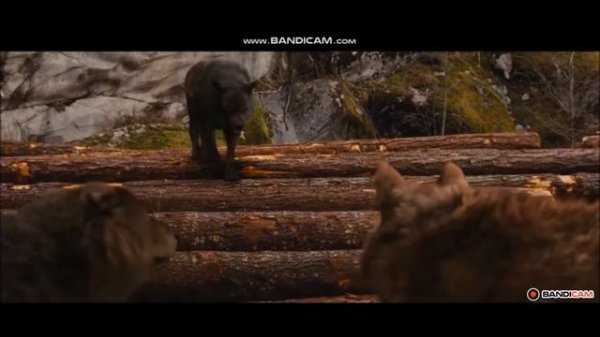 Twilight Wolves- Legends never die