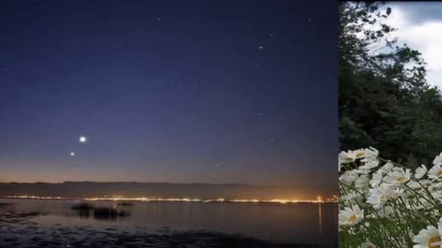 Я подарю тебе цветок смотреть онлайн