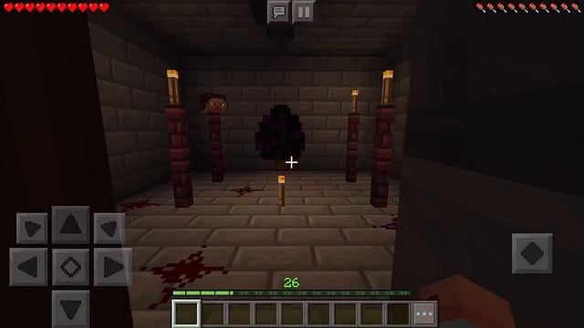 Minecraft: PE - Gameplay Walkthrough Part 232 - Escape From The Mind (iOS, Android) смотреть онлайн