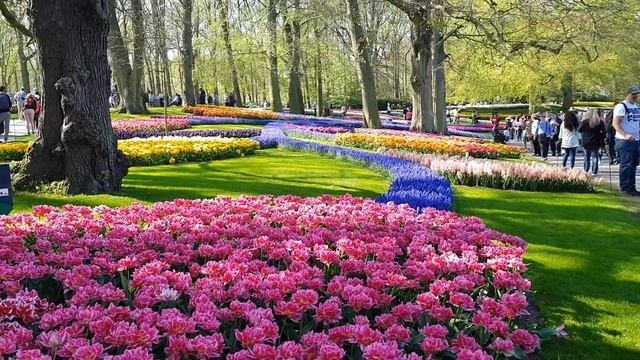 KEUKENHOF GARDENS 2019 смотреть онлайн