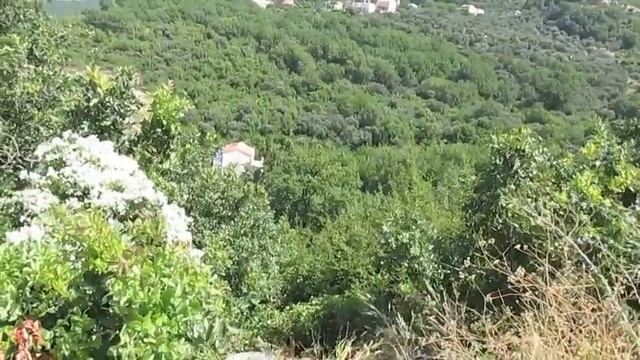 024. Участок в Режевичи, Черногория. смотреть онлайн