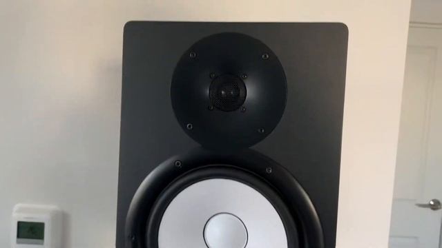 Yamaha HS8 Studio Speakers Sound Test 2021