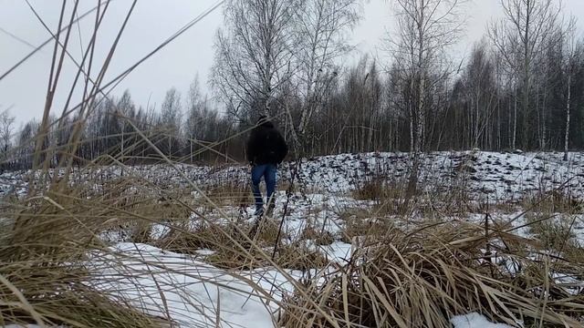 Зимние прогулки в лесу Подмосковья смотреть онлайн