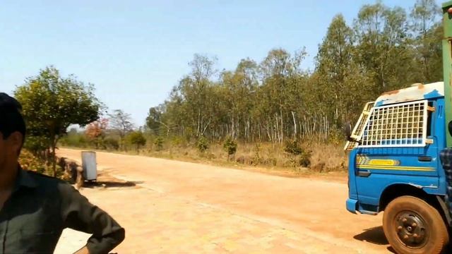 A day with Animal's|Jungle safari The Animal's home Vlog|Atal nagar jungle safari zoo| naya Raipur смотреть онлайн