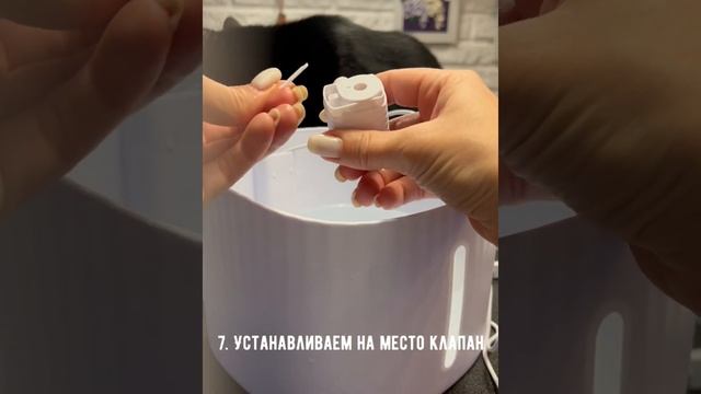 Чистим моторчик поилки-фонтана смотреть онлайн