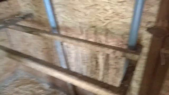 Мой курятник.. смотреть онлайн