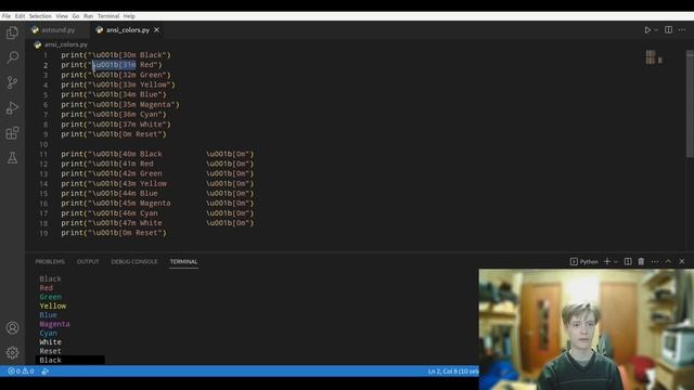 Using ANSI Escape Codes to Color Your Terminal Output смотреть онлайн