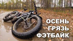 Оффроад на фэтбайке в осенней тайге