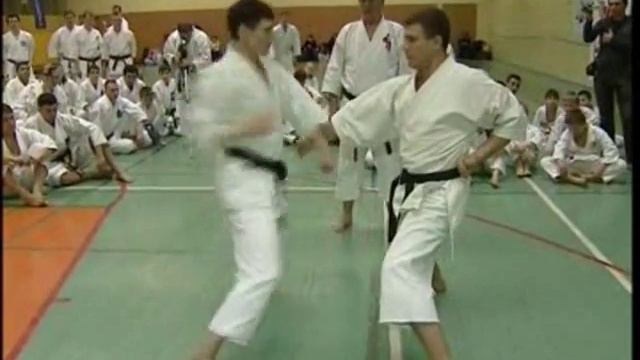 Fudokan Karatedo 1/3