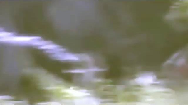 охота на медведя смотреть онлайн