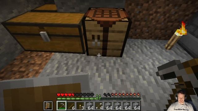 TrueBlindCraft: Minecraft (java version)::Accessibility Showcase | TrueBlindGaming смотреть онлайн