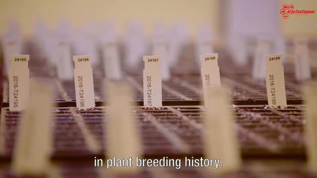 Сельскохозяйственный семинар - "Возделывание, уборка и заготовка сахарной свеклы урожая 2017 г" смотреть онлайн