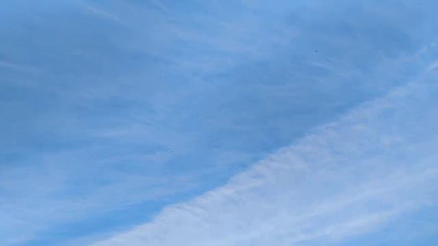 Москва последнюю неделю. подготовка к очередной "волне" идет полным ходом смотреть онлайн