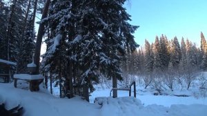 Саша счастливый устроился на работу