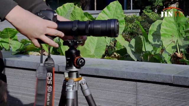 Best Telephoto Lens--- JINTU HD 420-800mm Telephoto Zoom lens for CANON NIKON DSLR Cameras смотреть онлайн