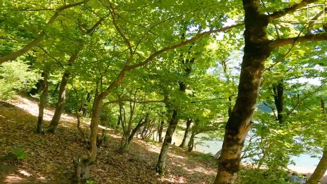 Piyada Turu - Xanbulan Gölü - Lənkəran - May 2021 Walking tour 《4k Ultra HD》 Ленкорань - Azerbaijan смотреть онлайн