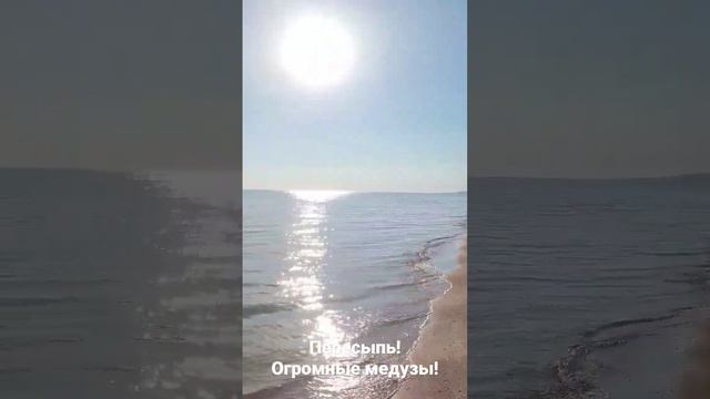 Медузы - ГИГАНТЫ. Пересыпь, Азовское море ср, 26 июля 2023 г. смотреть онлайн