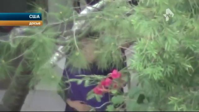 Жанна Фриске - Последние 3 месяца певица находилась в коме смотреть онлайн