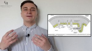 Тканевое дыхание и окислительное фосфорилирование, цепь переноса электронов | Биохимия