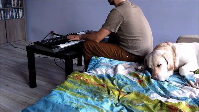 MM Sounds - Reflection feat. Mojo Retriever , demo version on M-Audio Oxygen61 смотреть онлайн