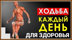 ХОДЬБА ДЛЯ ЗДОРОВЬЯ