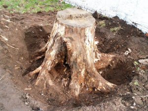 Как ИЗБАВИТЬСЯ от ПНЯ_ Простой РЕАЛЬНЫЙ способ