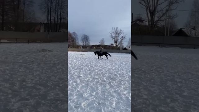 Мега шустрый мальчик ? смотреть онлайн