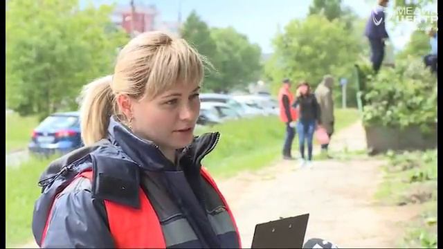 Череповчане возмущены вырубкой многолетней сирени смотреть онлайн