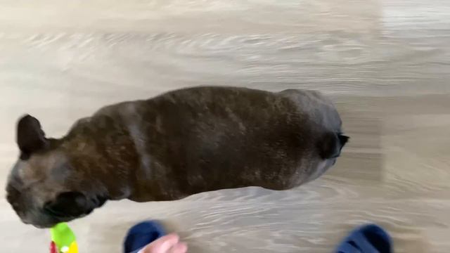 и у всех СВОЯ СУЕТА Митя, Мася, папа - СКОРО ВЕСНА смотреть онлайн