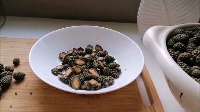 Учебник по Творчеству