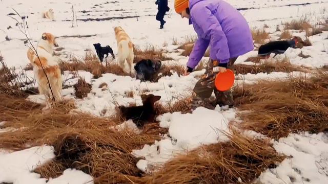 Курсинг Минск смотреть онлайн