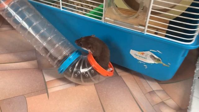 Обычное утро ласки смотреть онлайн