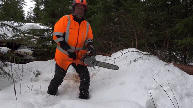 Metsolan Metsäkoulu 250 - Suunnattu kaato yhdellä sahauksella смотреть онлайн