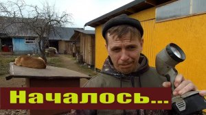 Индюшата, цыплята и прочие  не дают покоя и куры несушки - перезагрузка!