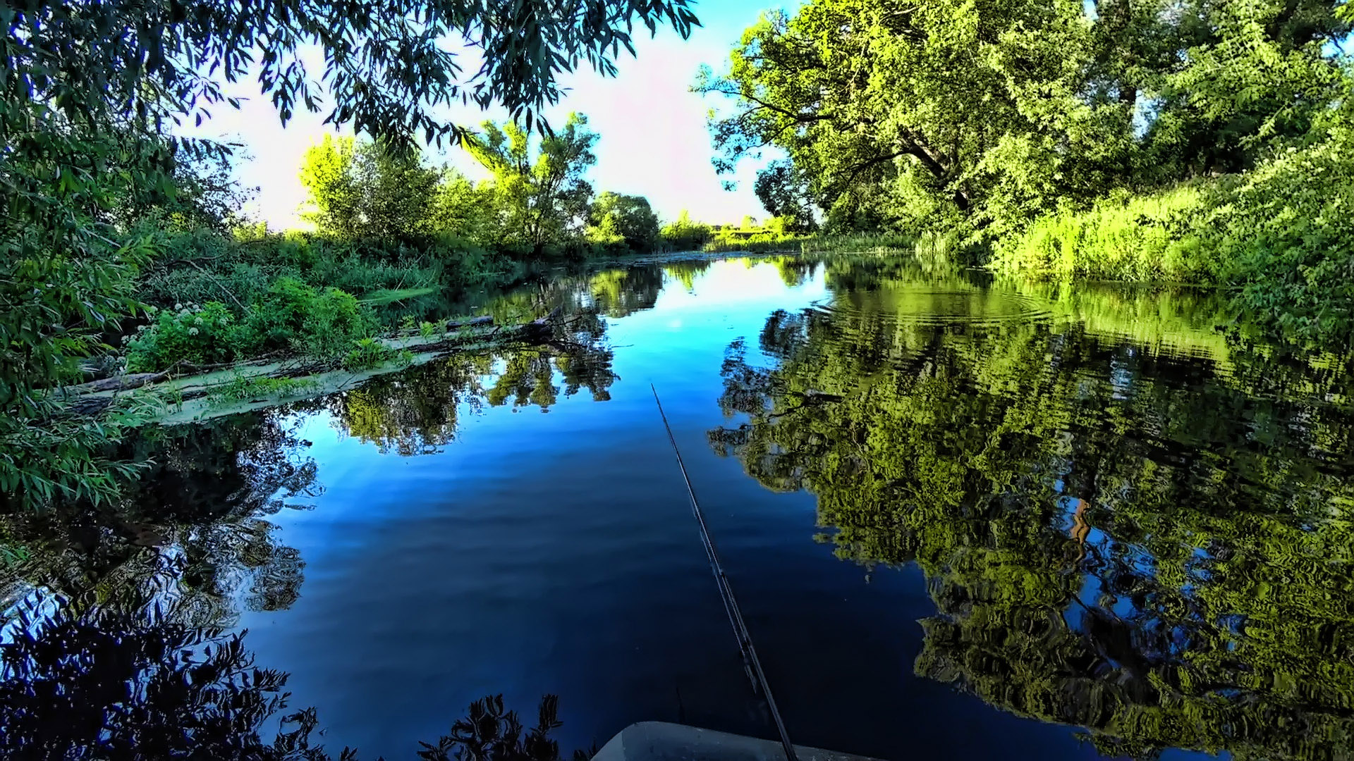 НЕ МОГУ ОТОРВАТЬ ГЛАЗ ОТ ТАКОЙ КРАСОТЫ! РЫБАЛКА НА СПИННИНГ смотреть онлайн