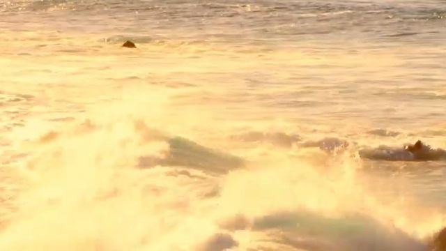 Relaxing Meditation Music For Stress Relief And Deep Sleep  Soothing Sounds For Mindfulness And Inn