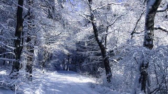 Фото-клип "Снова зима...". Автор и дизайнер фото-клипа Ольга Киселёва смотреть онлайн