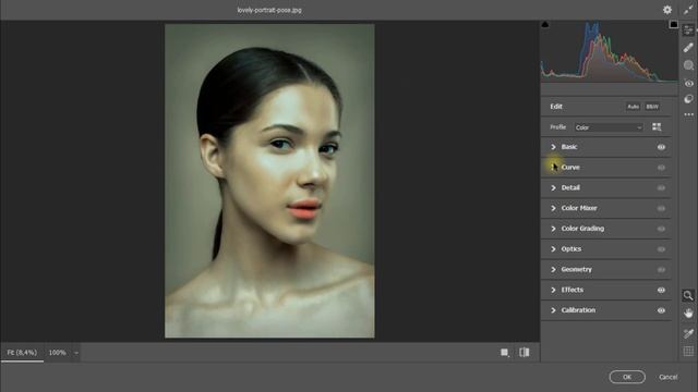 Making Smudge Painting using Camera Raw Filter in Photoshop смотреть онлайн