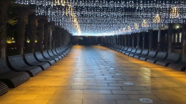 Парк Краснодар Парк Краснодар ночью Стадион Краснодар ПАРК ГАЛИЦКОГО Начало декабря 2021 года. смотреть онлайн