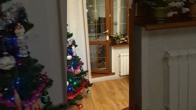 15 сентября 2021 г. смотреть онлайн