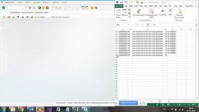 SAP + VBA EXCEL modificación y extracción masiva desde FBL3N смотреть онлайн