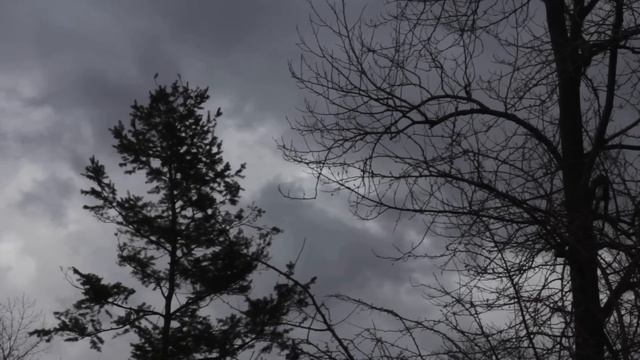 Фруктовое желе: легко, сладко, вкусно