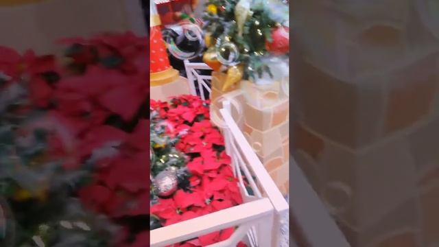 Pictures with santa (part1.) смотреть онлайн
