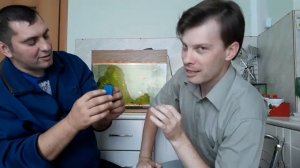 ТЕСТИРУЕМ МАГНИТНЫЙ СКРЕБОК ДЛЯ АКВАРИУМА (АЛИЭКСПРЕСС И JOOM)