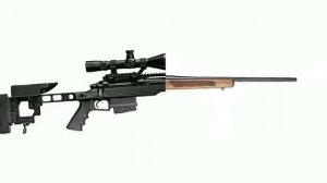 CZ 557 Sporter .243 Winchester Rifle - Specs