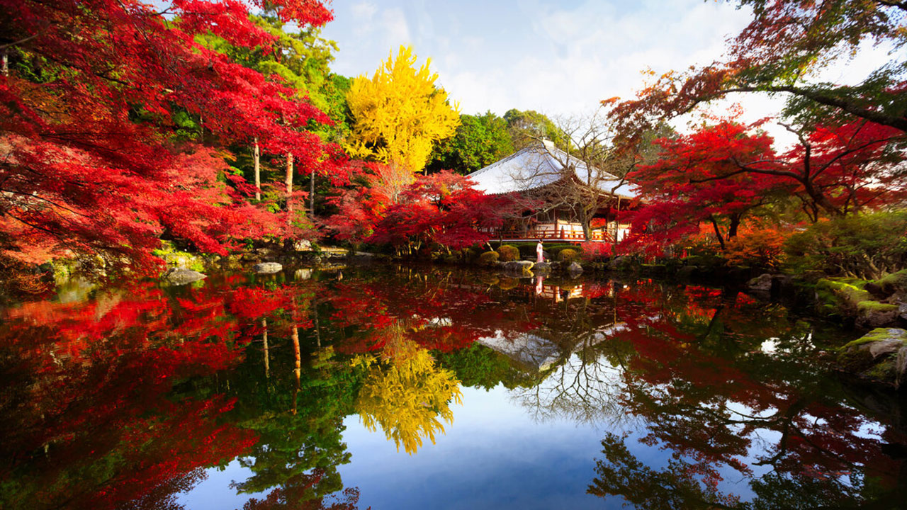 Красная осень в Японии. Грустная осенняя музыка. Red autumn in Japan. Sad autumn music. смотреть онлайн