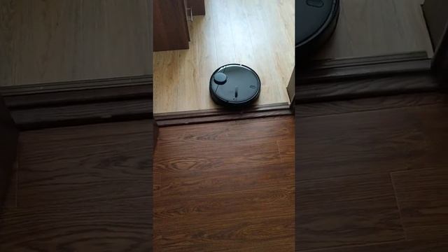 МОЮЩИЙ ПЫЛЕСОС XIAOMI.Умный Барсик? смотреть онлайн
