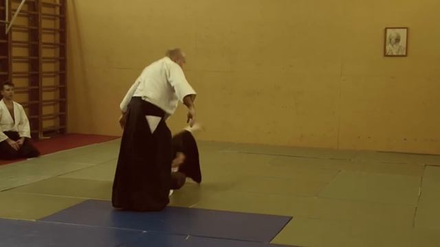 Айкидзюдзюцу, Айкидо, Японские единоборства. Вольф Валерий Павлович, Санкт - Петербург, смотреть онлайн