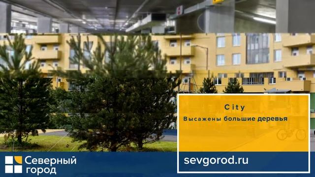 Северный город | Green City смотреть онлайн
